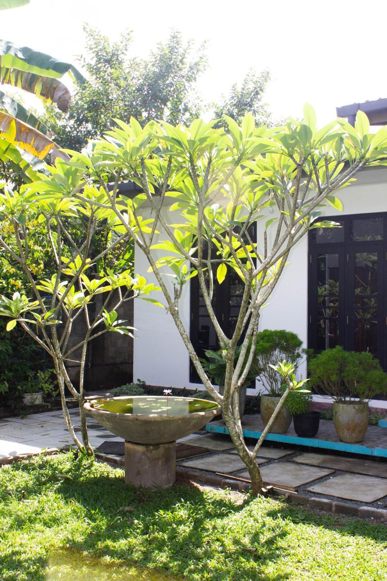 Uralsurf House Hotel Weligama Exterior photo